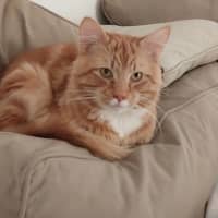 Photo of Diego