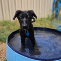 Photo of Sally
