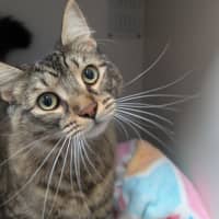 Photo of Ishbelle