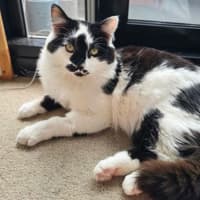 Photo of Mr Moo