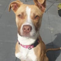 Photo of Ellie Valenti