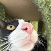 Photo of Fifi