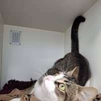 Photo of Lila