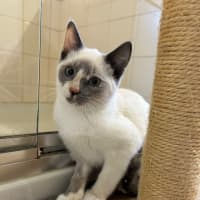 Photo of Willow