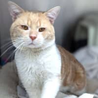 Photo of Arthur