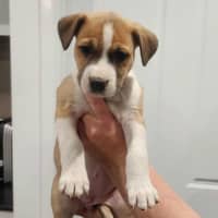 Photo of Lady Rainicorn