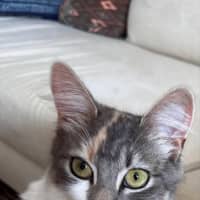 Photo of Angelique