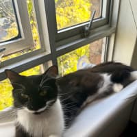 Photo of Polly