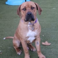 Photo of Gus