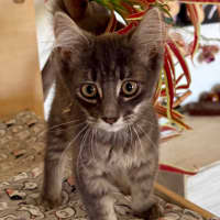 Photo of Vance