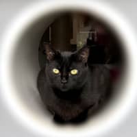 Photo of Faith Sta011629