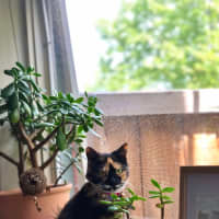 Photo of Viv (Vivienne)