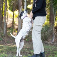 Photo of Patches