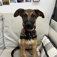 Photo of Cindy Lou 