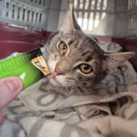 Photo of Autumn! 🍁