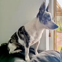 Photo of Sunny And Pj 