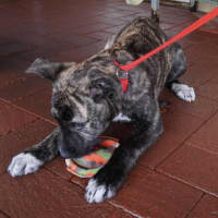 Photo of Winnie
