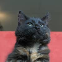 Photo of Ella & Nina 🌷🌷