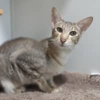 Photo of Elsie