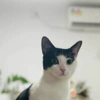 Photo of Oopsies