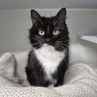 Photo of Luna 