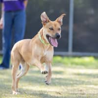 Photo of Sugar