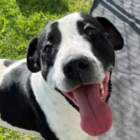 Photo of Bingo (4471)