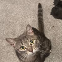 Photo of Emily