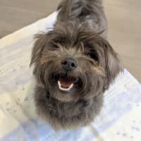 Photo of Coco