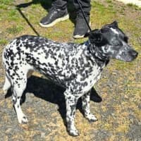 Photo of Zena