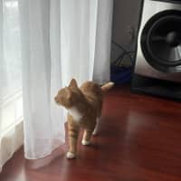 Photo of Georgie