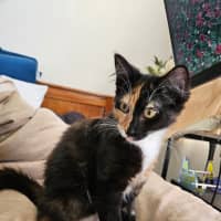 Photo of Embra