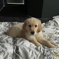 Photo of Sammy