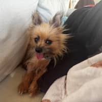 Photo of Jinx Everhart