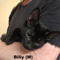 Photo of Billy And Zamora