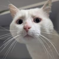 Photo of Whitey
