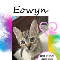 Photo of Eowyn
