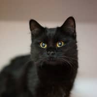 Photo of Lilith