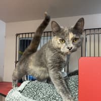 Photo of Storm