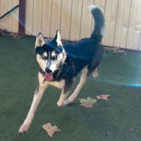 Photo of Axel