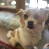 Photo of Pablo