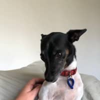 Photo of Tilly And Finn