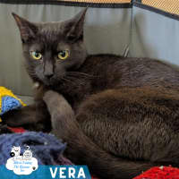 Photo of Vera
