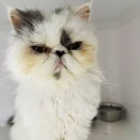 Photo of Bubs Sua012916