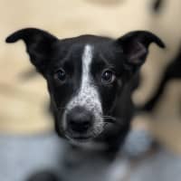 Photo of Plugga