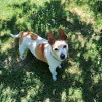 Photo of Elton Moriarty