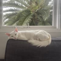 Photo of Dairy Queen