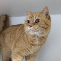 Photo of 🍓 Audrey 5452 🍓