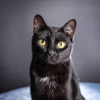Photo of Betty