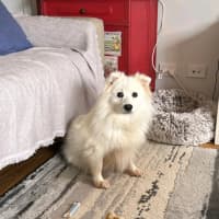 Photo of Keiko